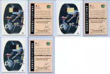 BITAUTO-12.webp