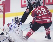 Anthony Mantha.jpg