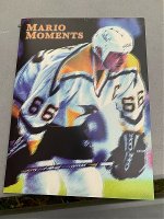 Mario Moments pamphlet binder.jpg
