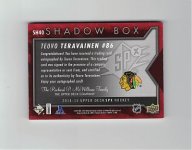 shadow back20241014.jpg