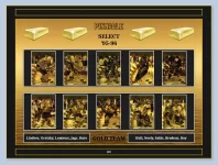 Pinnacle Select Gold Team '95-96.webp