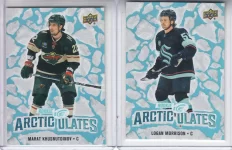 2024 Articulates Ice x 2 F.webp