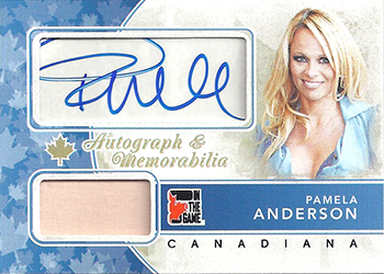 canadianaautomemandersonPA4.jpg
