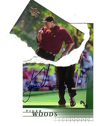 tiger_rip.jpg