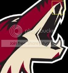 coyote.jpg