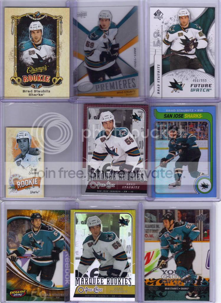 sharks1.jpg