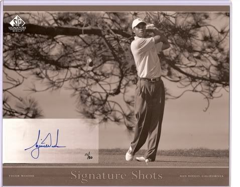 tiger.jpg