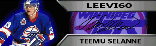 Leevi-bannernew1.gif